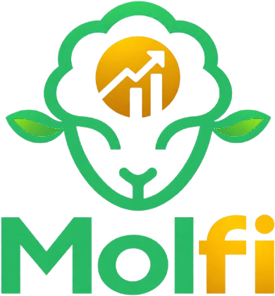Molfi